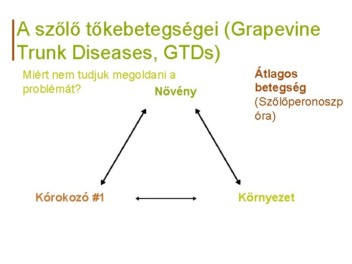 A szőlő tőkebetegségei (Grapevine Trunk Diseases, GTDs) Miért nem tudjuk megoldani a problémát? Növény