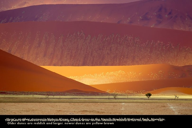 Here’s stunner in Nature Views. fantasia “Sand dunes in the Namib-Naukluft Namibia. This photoanother