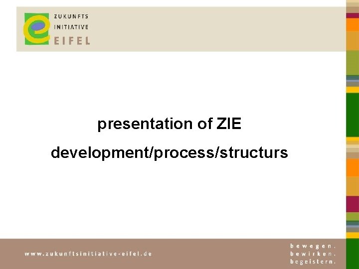 presentation of ZIE development/process/structurs 