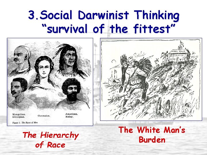 3. Social Darwinist Thinking “survival of the fittest” The Hierarchy of Race The White