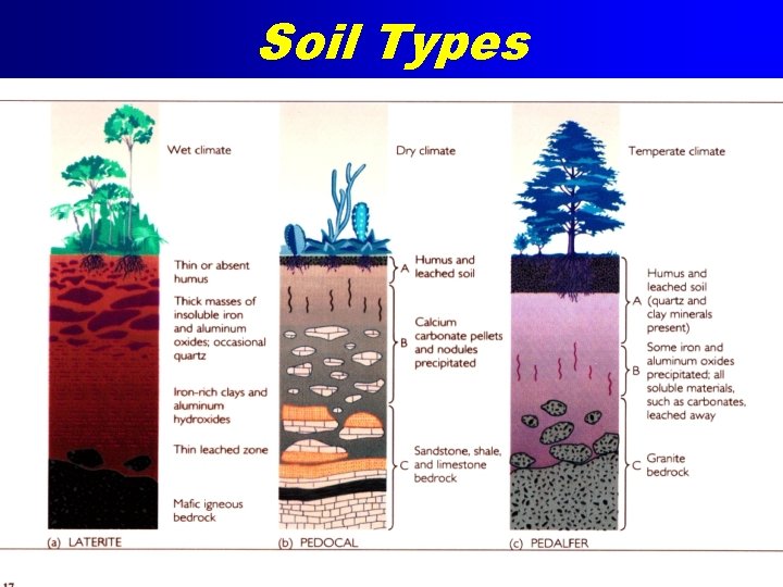 Soil Types 