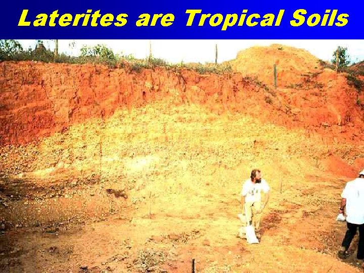 Laterites are Tropical Soils 