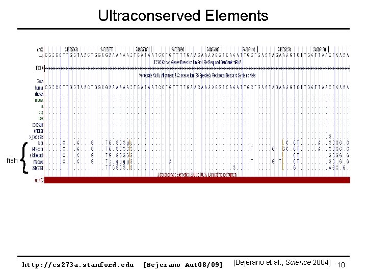 Ultraconserved Elements fish http: //cs 273 a. stanford. edu [Bejerano Aut 08/09] [Bejerano et