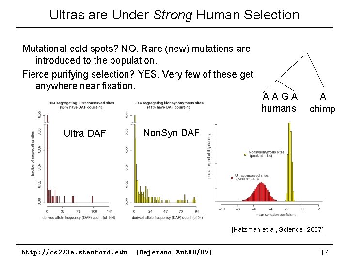 Ultras are Under Strong Human Selection Mutational cold spots? NO. Rare (new) mutations are