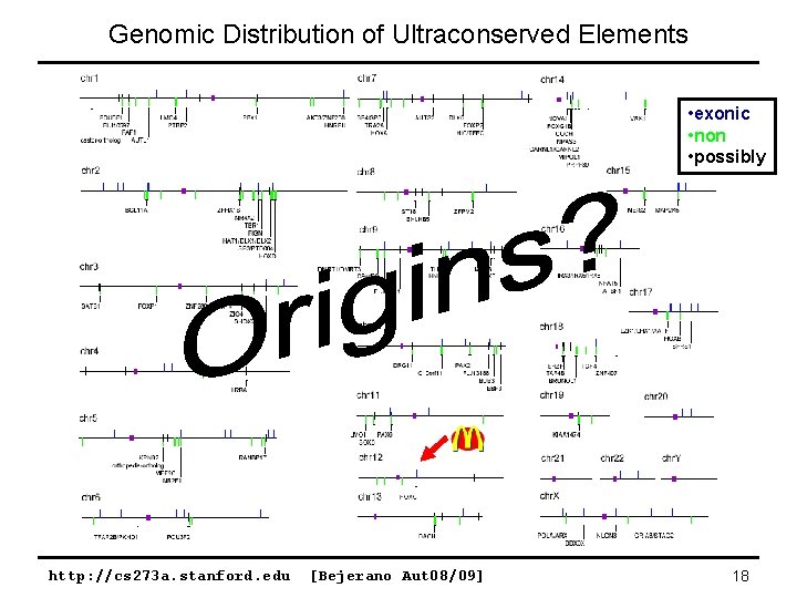 Genomic Distribution of Ultraconserved Elements • exonic • non • possibly http: //cs 273