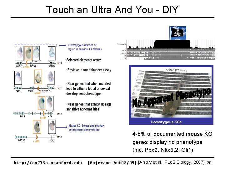 Touch an Ultra And You - DIY 4 -8% of documented mouse KO genes