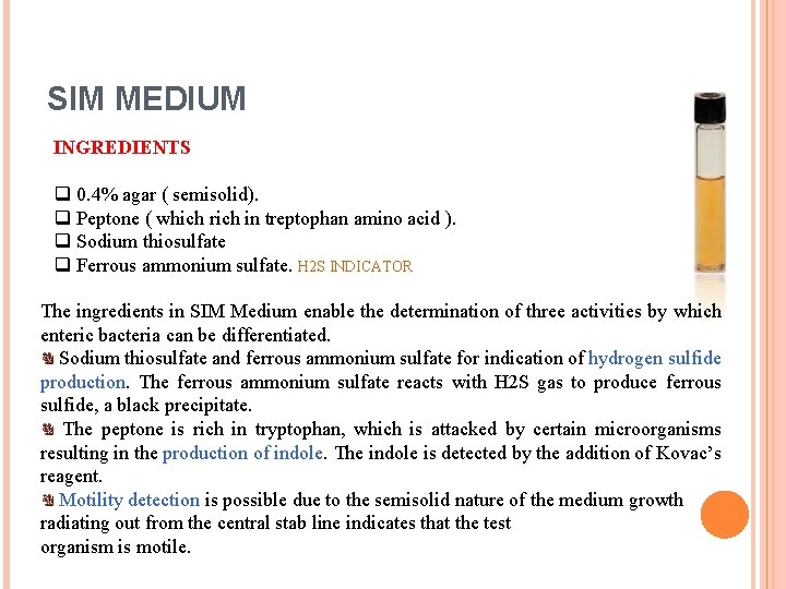 SIM MEDIUM INGREDIENTS q 0. 4% agar ( semisolid). q Peptone ( which rich