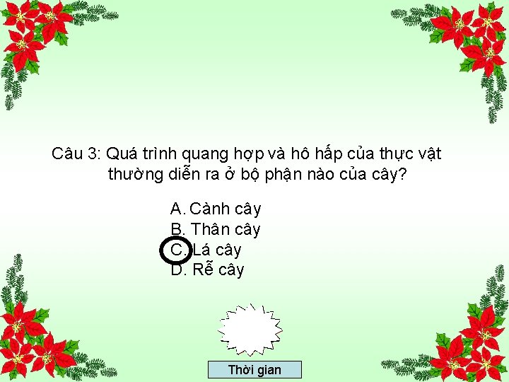 Câu 3: Quá trình quang hợp và hô hấp của thực vật thường diễn