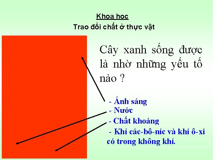 Khoa học Trao đổi chất ở thực vật Cây xanh sống được là nhờ