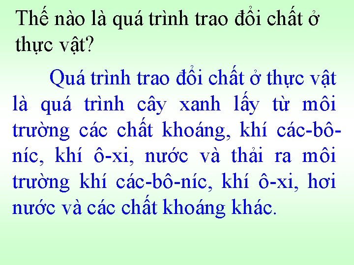 Thế nào là quá trình trao đổi chất ở thực vật? Quá trình trao