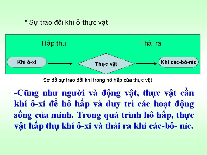 * Sự trao đổi khí ở thực vật Hấp thụ Khí ô-xi Thải ra