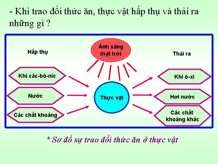 - Khi trao đổi thức ăn, thực vật hấp thụ và thải ra những