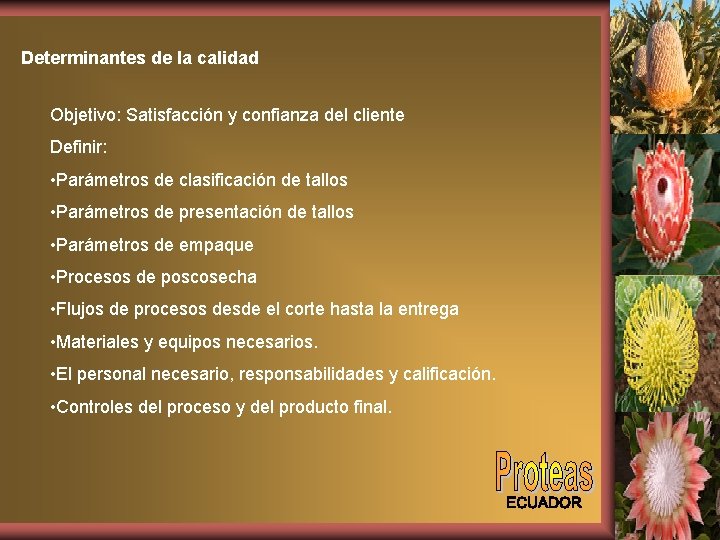 Determinantes de la calidad Objetivo: Satisfacción y confianza del cliente Definir: • Parámetros de