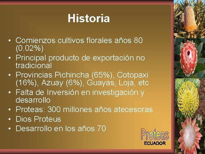 Historia • Comienzos cultivos florales años 80 (0. 02%) • Principal producto de exportación