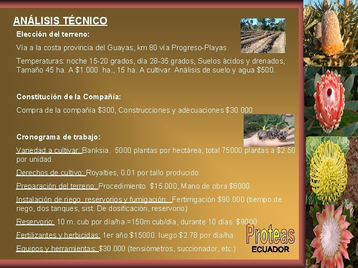 ANÁLISIS TÉCNICO Elección del terreno: Vía a la costa provincia del Guayas, km 80