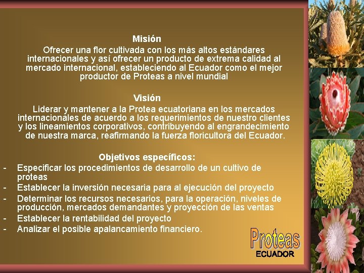 Misión Ofrecer una flor cultivada con los más altos estándares internacionales y así ofrecer