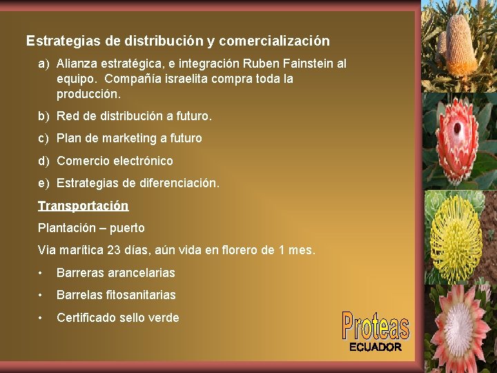 Estrategias de distribución y comercialización a) Alianza estratégica, e integración Ruben Fainstein al equipo.