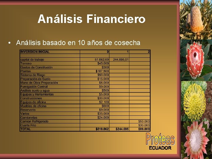 Análisis Financiero • Análisis basado en 10 años de cosecha 