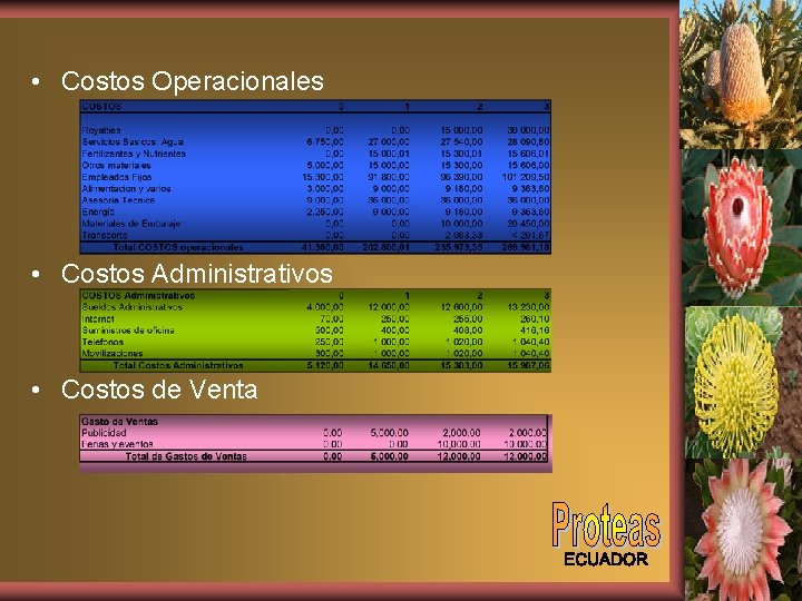  • Costos Operacionales • Costos Administrativos • Costos de Venta 