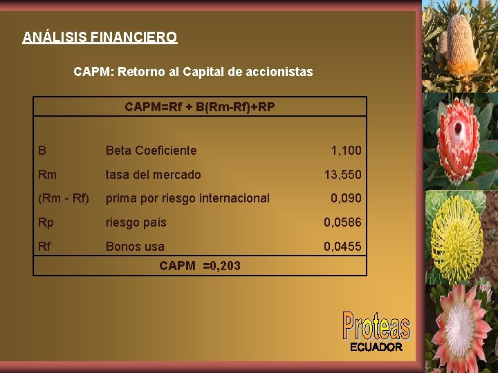 ANÁLISIS FINANCIERO CAPM: Retorno al Capital de accionistas CAPM=Rf + B(Rm-Rf)+RP B Beta Coeficiente