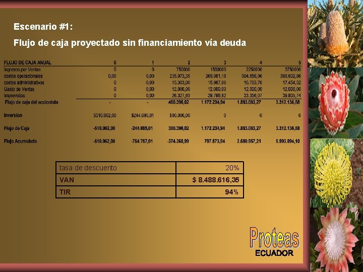 Escenario #1: Flujo de caja proyectado sin financiamiento vía deuda tasa de descuento VAN