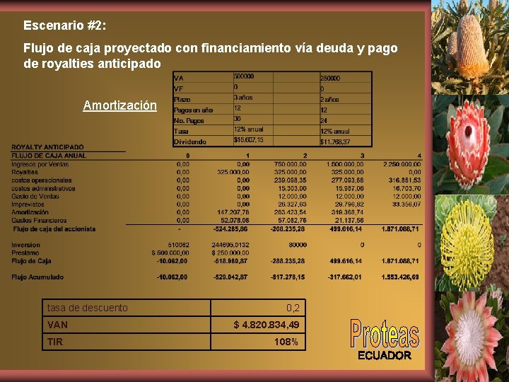 Escenario #2: Flujo de caja proyectado con financiamiento vía deuda y pago de royalties