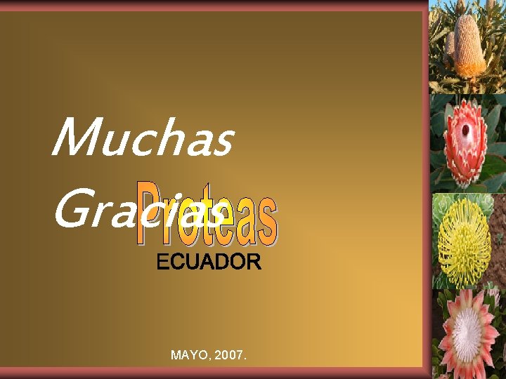 Muchas Gracias MAYO, 2007. 