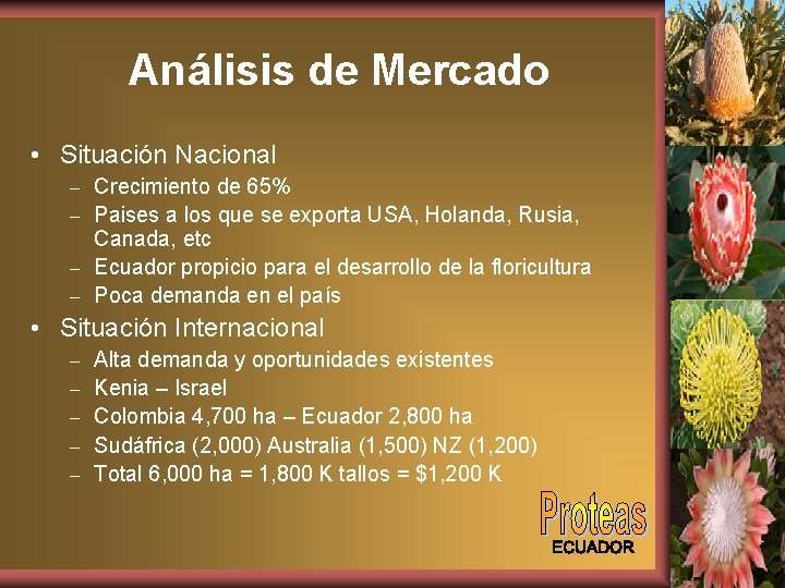 Análisis de Mercado • Situación Nacional Crecimiento de 65% – Paises a los que