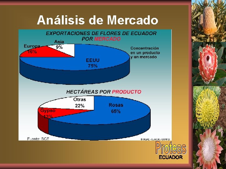 Análisis de Mercado 