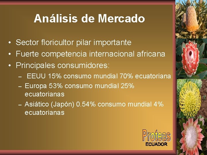 Análisis de Mercado • Sector floricultor pilar importante • Fuerte competencia internacional africana •