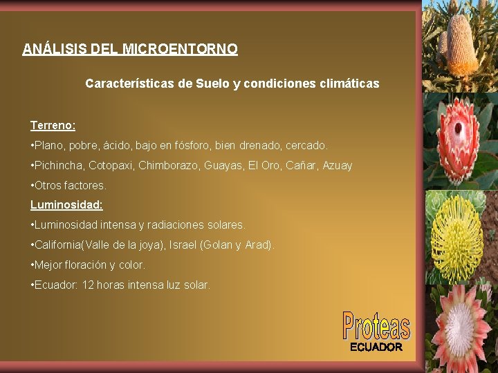 ANÁLISIS DEL MICROENTORNO Características de Suelo y condiciones climáticas Terreno: • Plano, pobre, ácido,