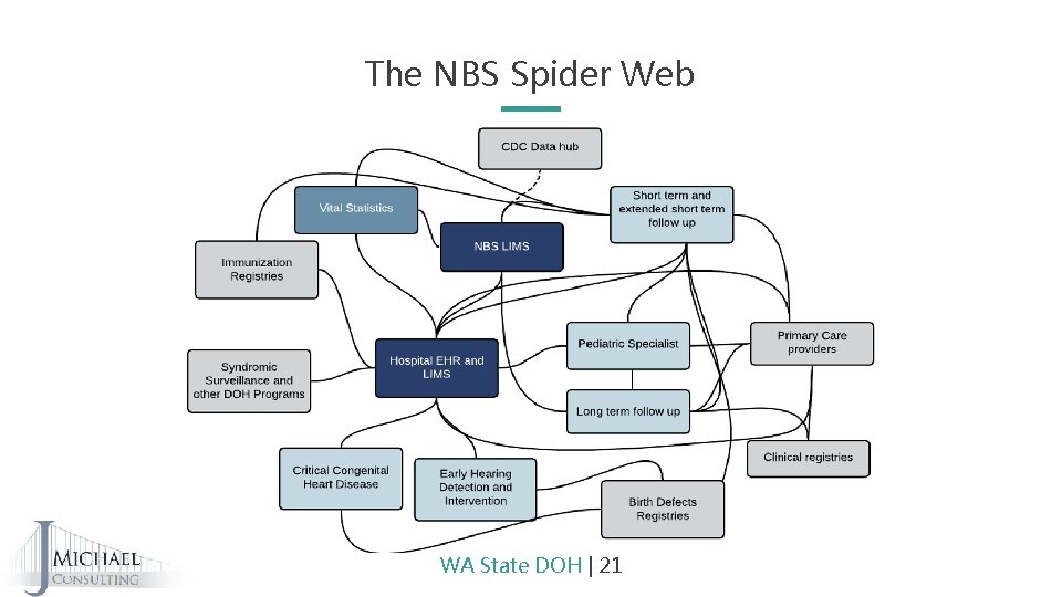 The NBS Spider Web WA State DOH | 21 