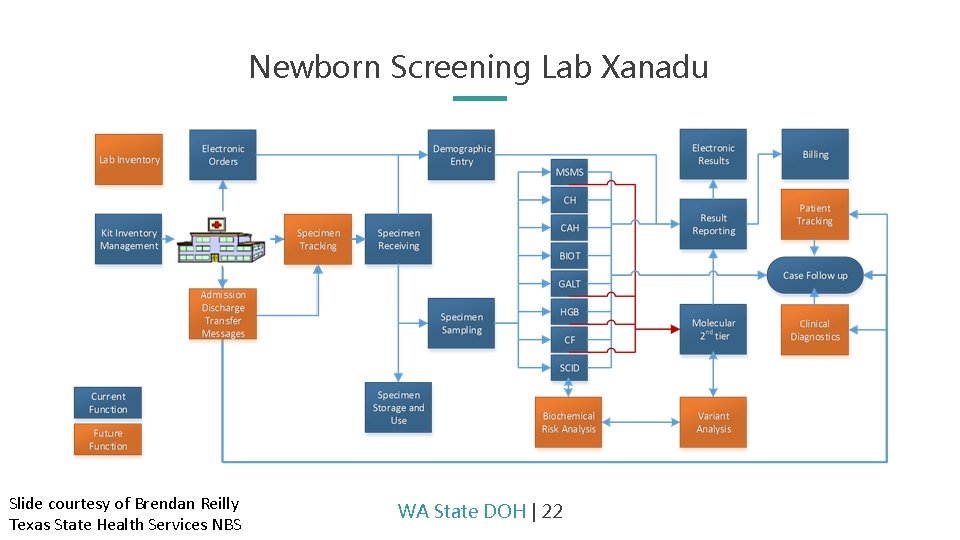 Newborn Screening Lab Xanadu Slide courtesy of Brendan Reilly Texas State Health Services NBS