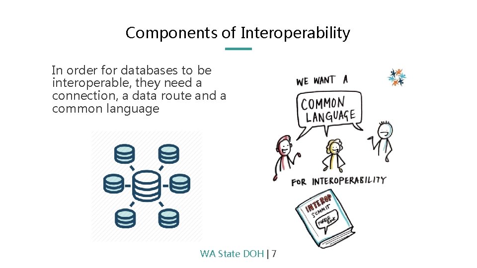 Components of Interoperability In order for databases to be interoperable, they need a connection,
