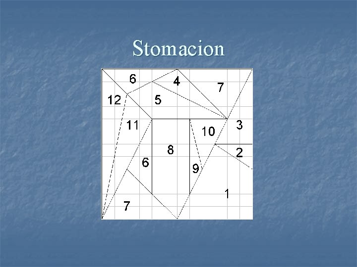 Stomacion 