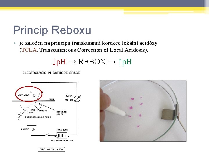 Princip Reboxu • je založen na principu transkutánní korekce lokální acidózy (TCLA, Transcutaneous Correction