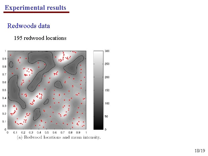 Experimental results Redwoods data 195 redwood locations 18/19 