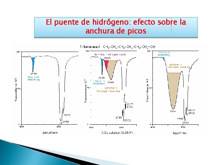 El puente de hidrógeno: efecto sobre la anchura de picos 