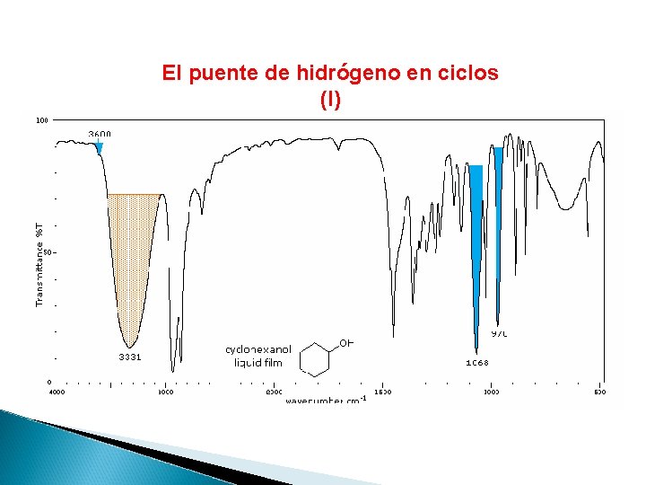 El puente de hidrógeno en ciclos (I) 