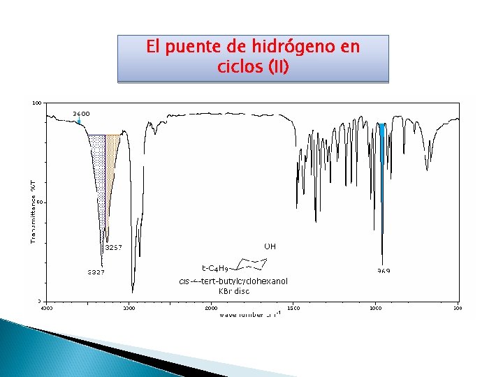 El puente de hidrógeno en ciclos (II) 