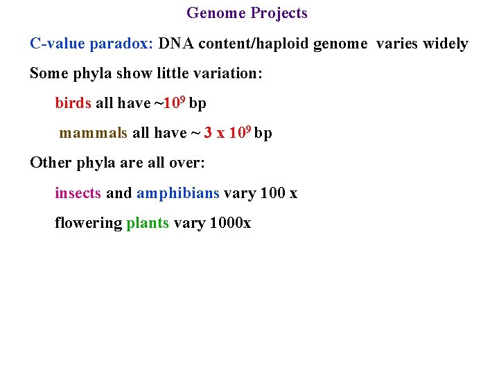 Genome Projects C-value paradox: DNA content/haploid genome varies widely Some phyla show little variation: