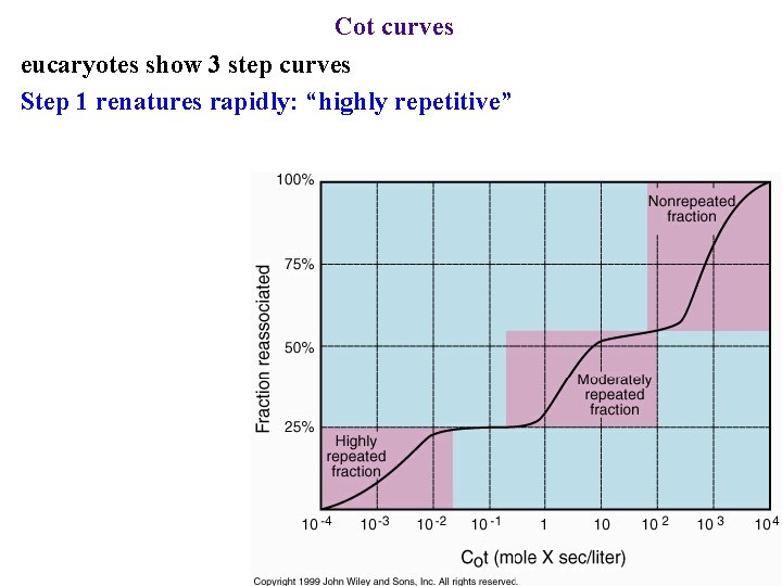 Cot curves eucaryotes show 3 step curves Step 1 renatures rapidly: “highly repetitive” 