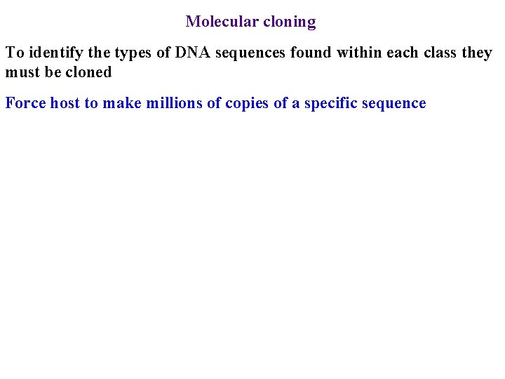 Molecular cloning To identify the types of DNA sequences found within each class they