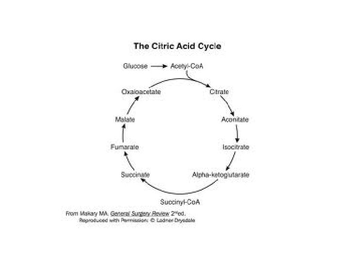 http: //medicalmnemonics 4 u. blogspot. com/2009/11/citric-acid-cycle. html 