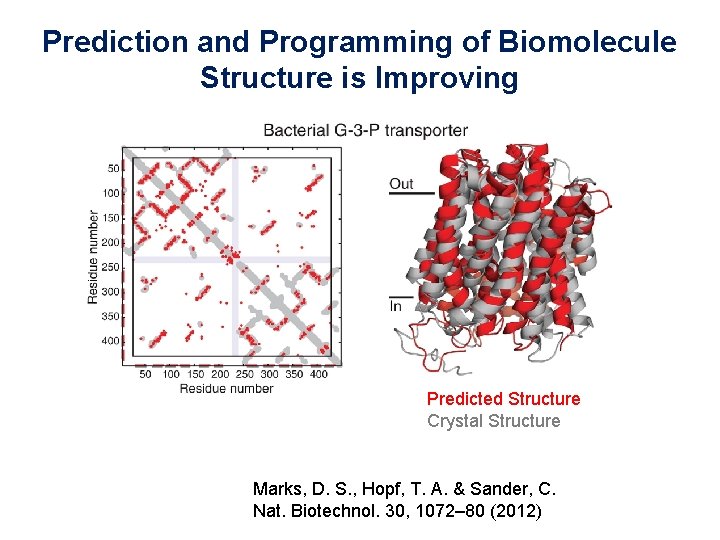 Prediction and Programming of Biomolecule Structure is Improving Predicted Structure Crystal Structure Marks, D.