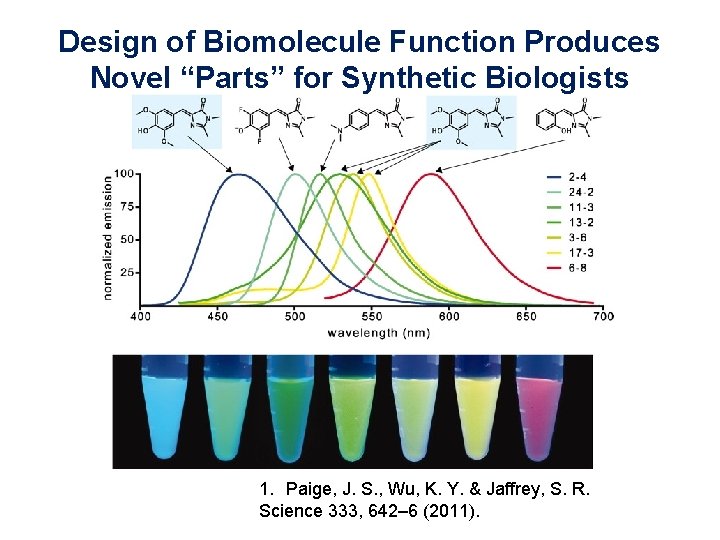 Design of Biomolecule Function Produces Novel “Parts” for Synthetic Biologists 1. Paige, J. S.