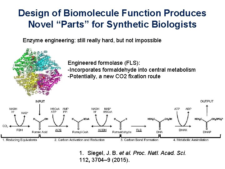 Design of Biomolecule Function Produces Novel “Parts” for Synthetic Biologists Enzyme engineering: still really