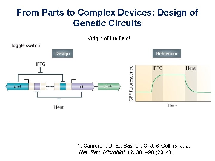 From Parts to Complex Devices: Design of Genetic Circuits Origin of the field! 1.