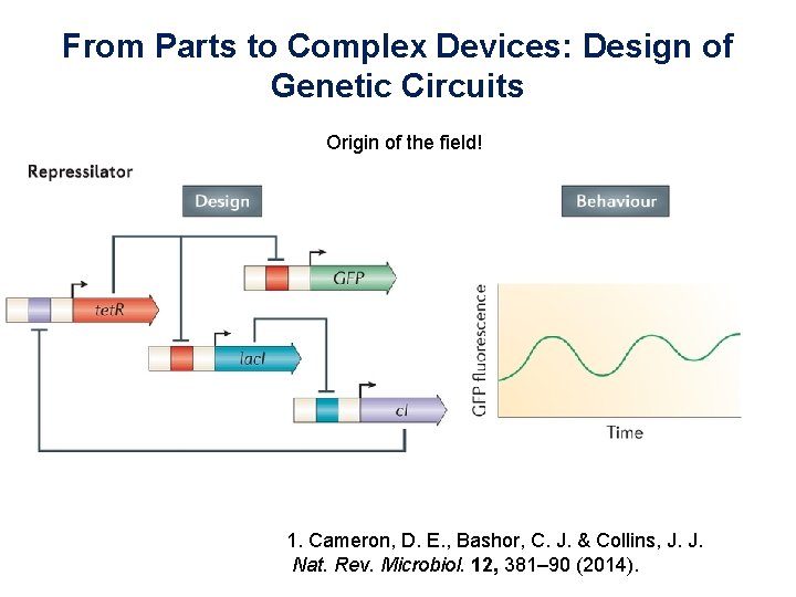 From Parts to Complex Devices: Design of Genetic Circuits Origin of the field! 1.