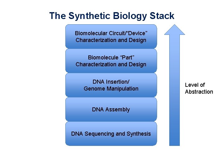 The Synthetic Biology Stack Biomolecular Circuit/“Device” Characterization and Design Biomolecule “Part” Characterization and Design